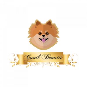 Canil Benatti Canil Benatti